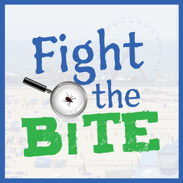 Bite Fight: Truco y Enseñansa de Bite Fight