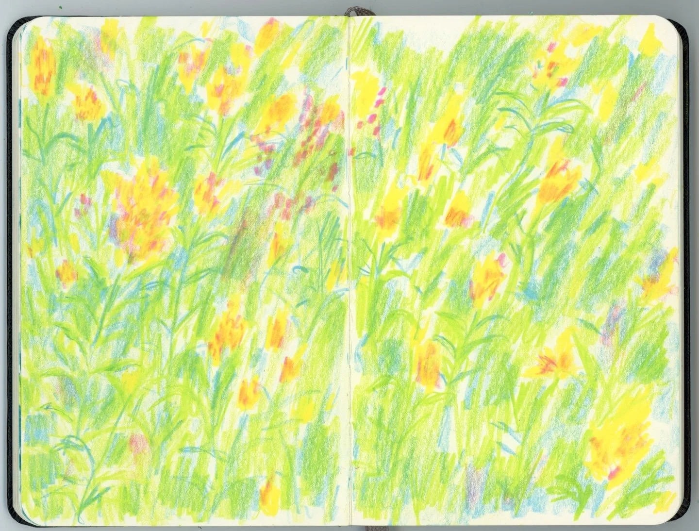 meadowsketch_web.jpg