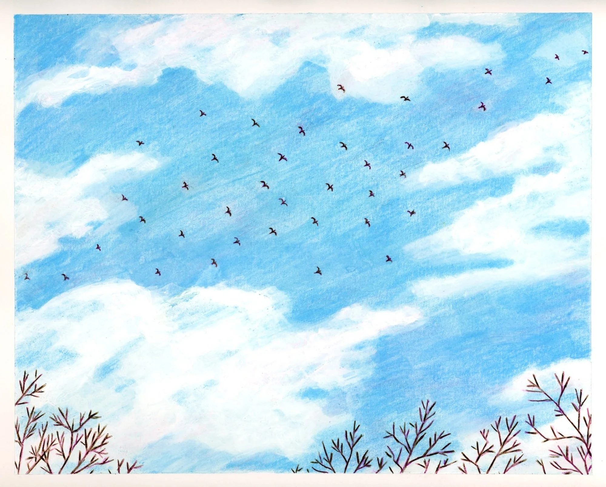 SarahMattes_Birds_HR copy.jpg