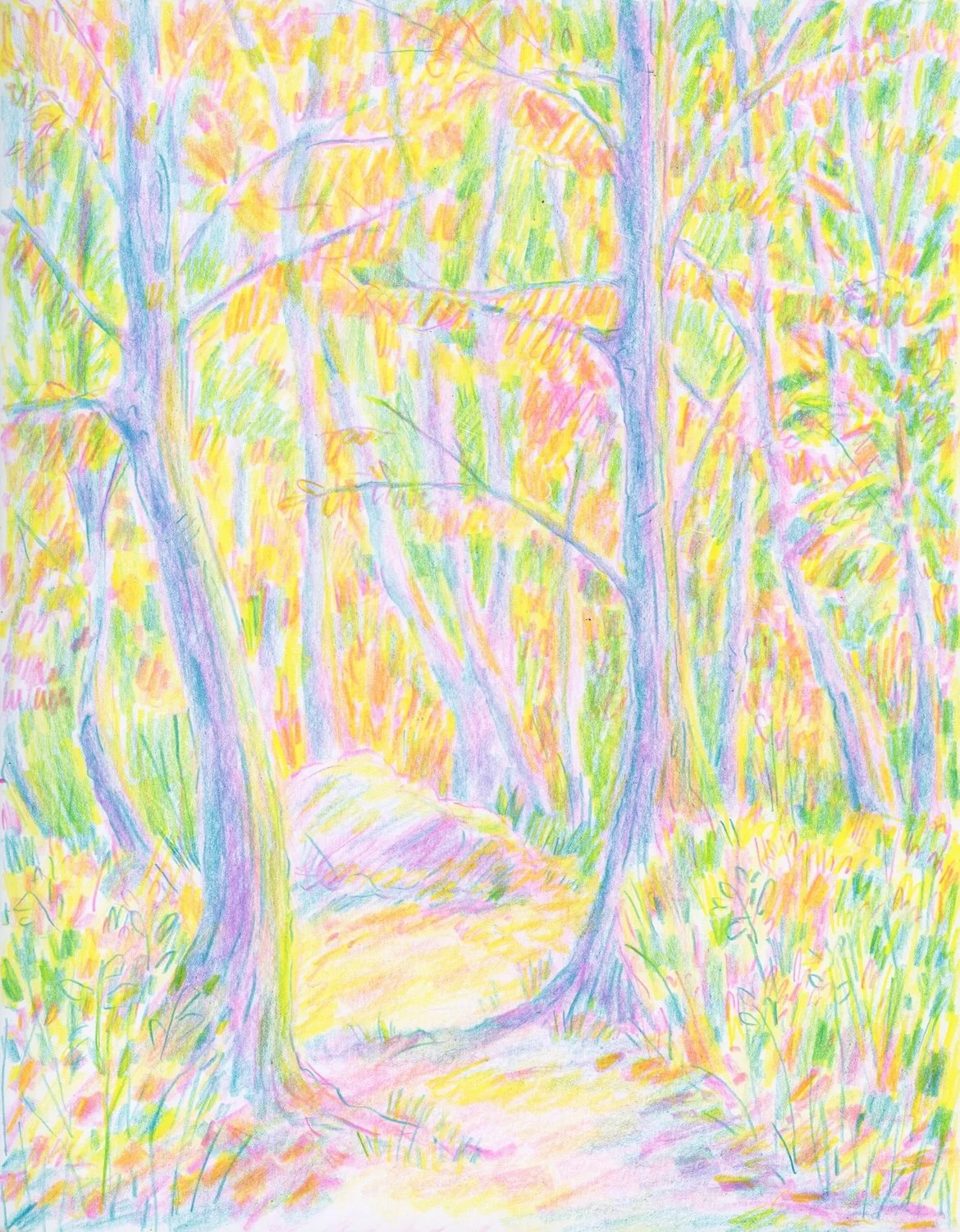SarahMattes_NatureMagic_Forest_LR.jpg