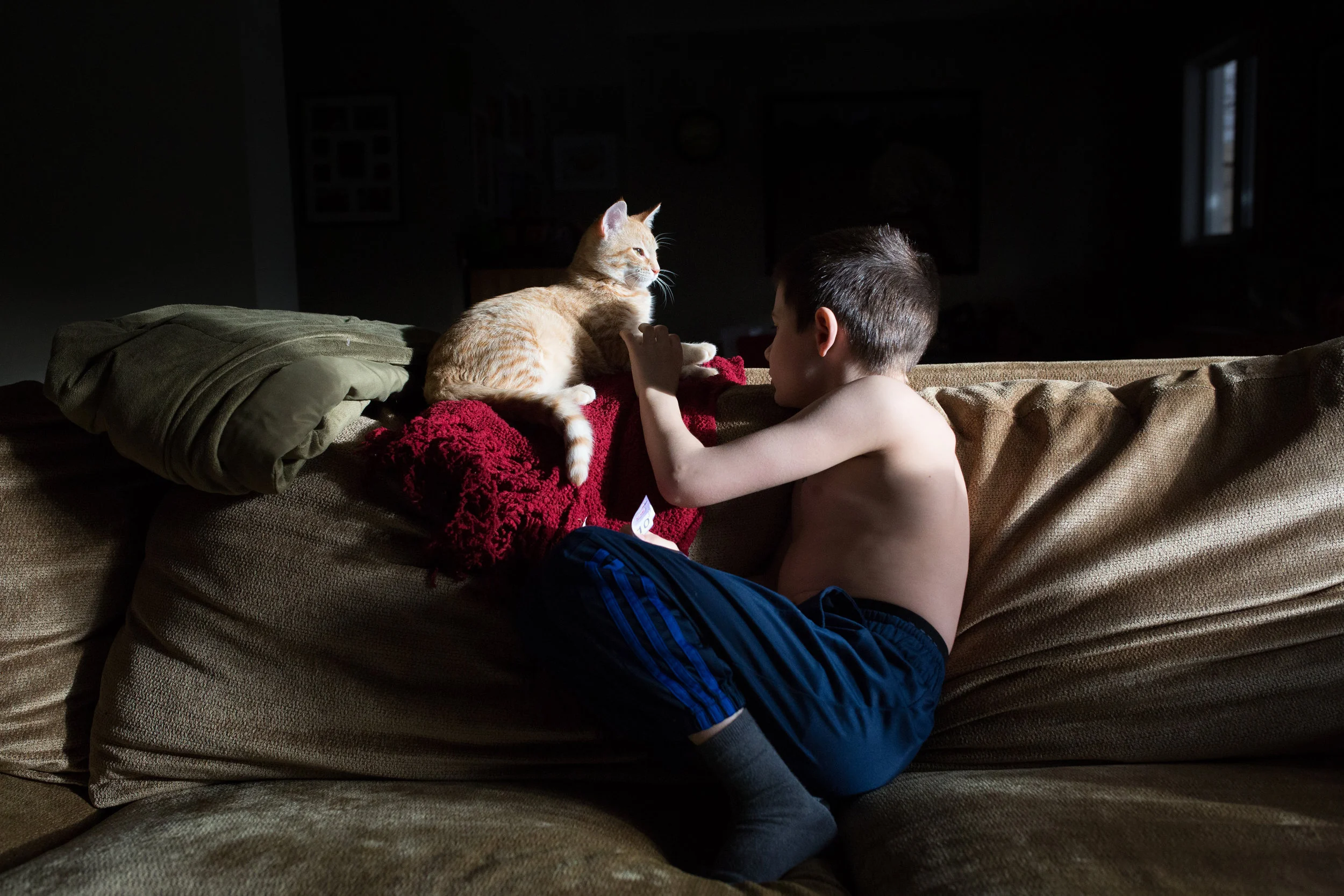 boy plays with his cat