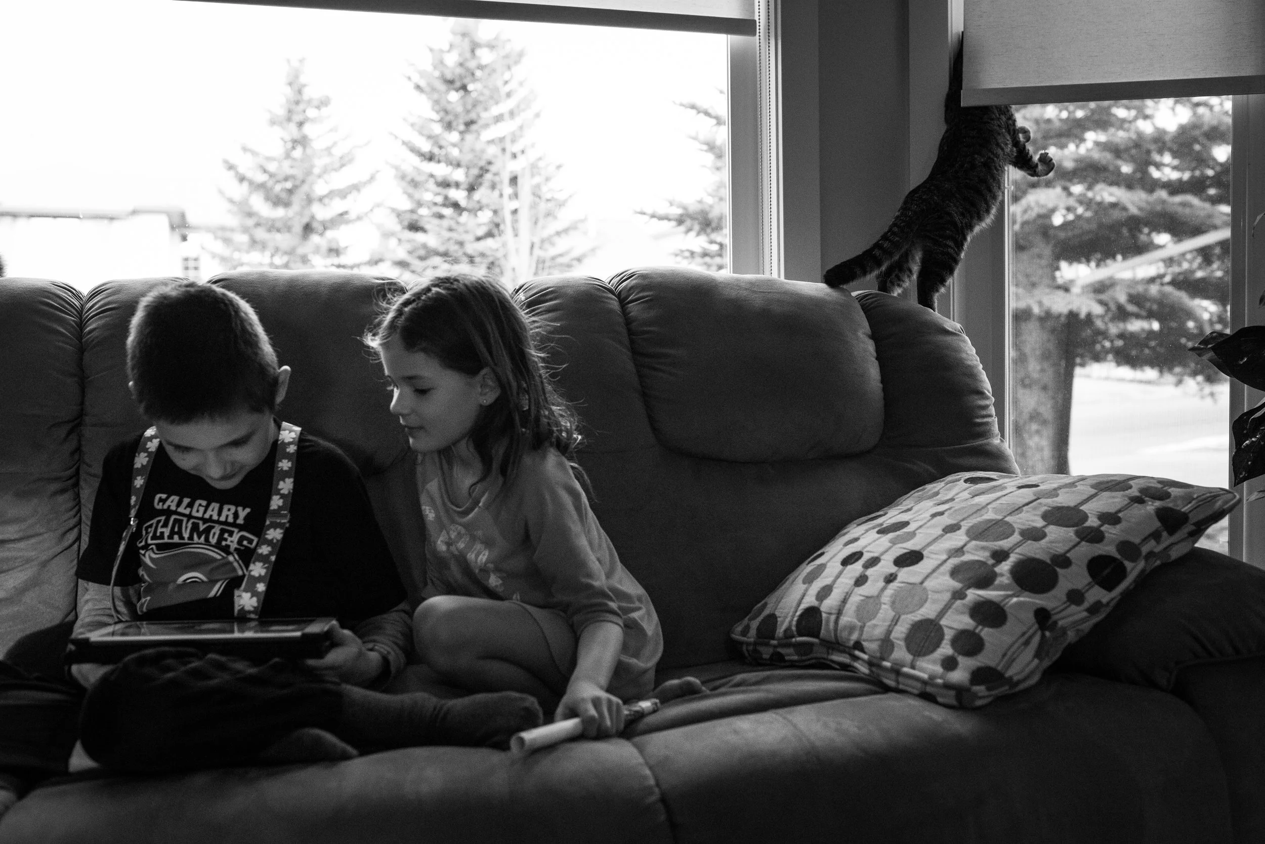 kids and cat