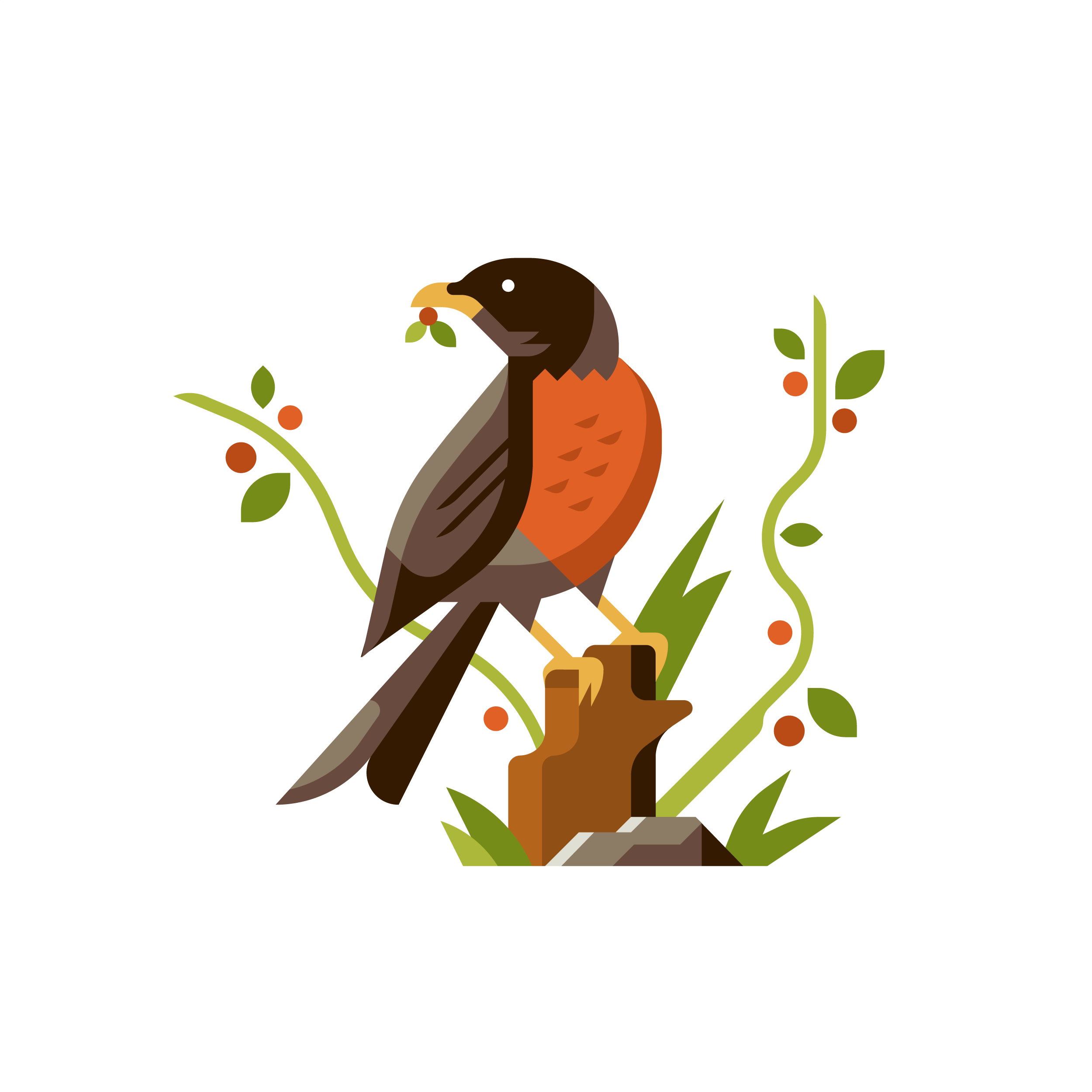 A Robin