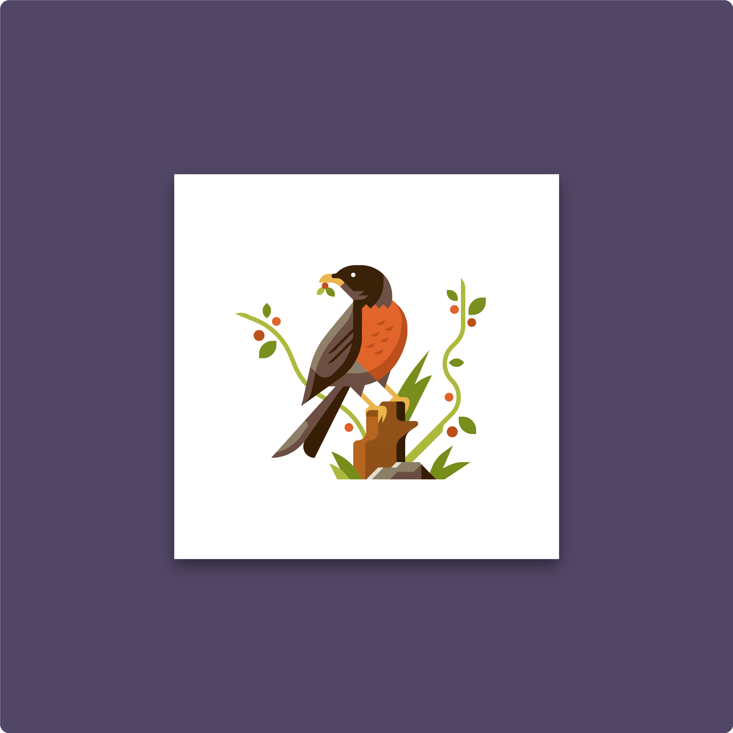 robin-product-image.png