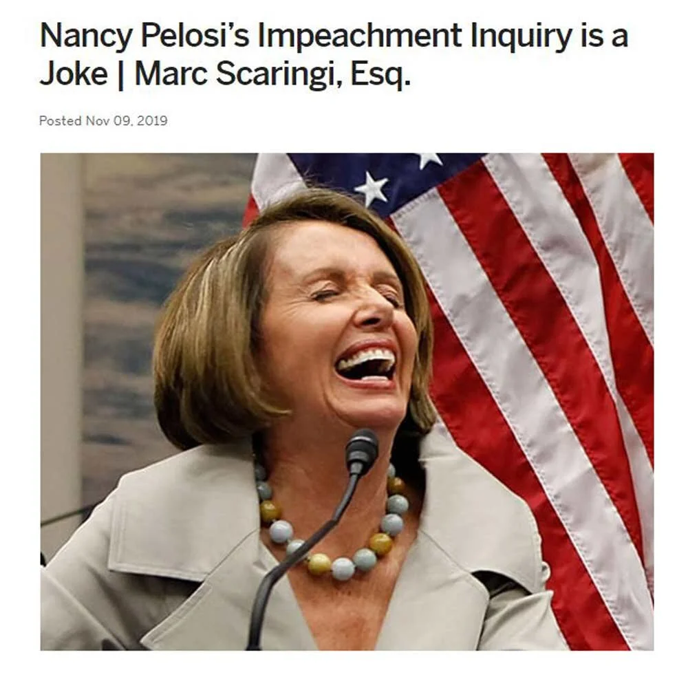 PL---Article-pelosi.jpg