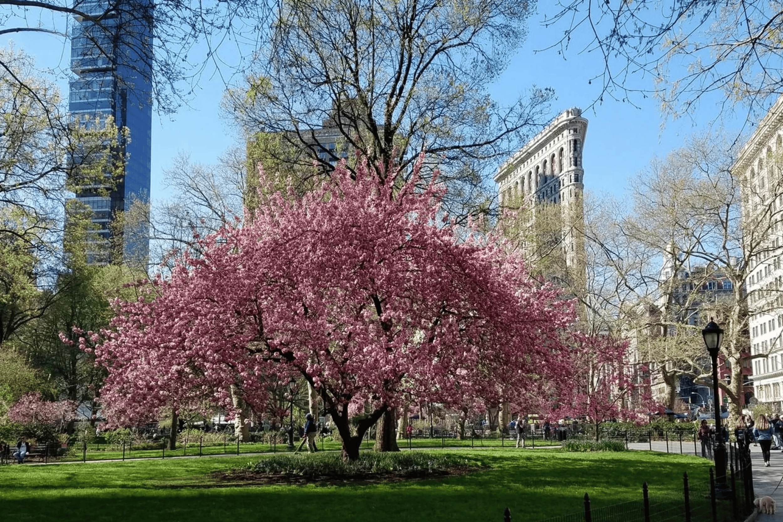 35 West 23rd Street, 2.png