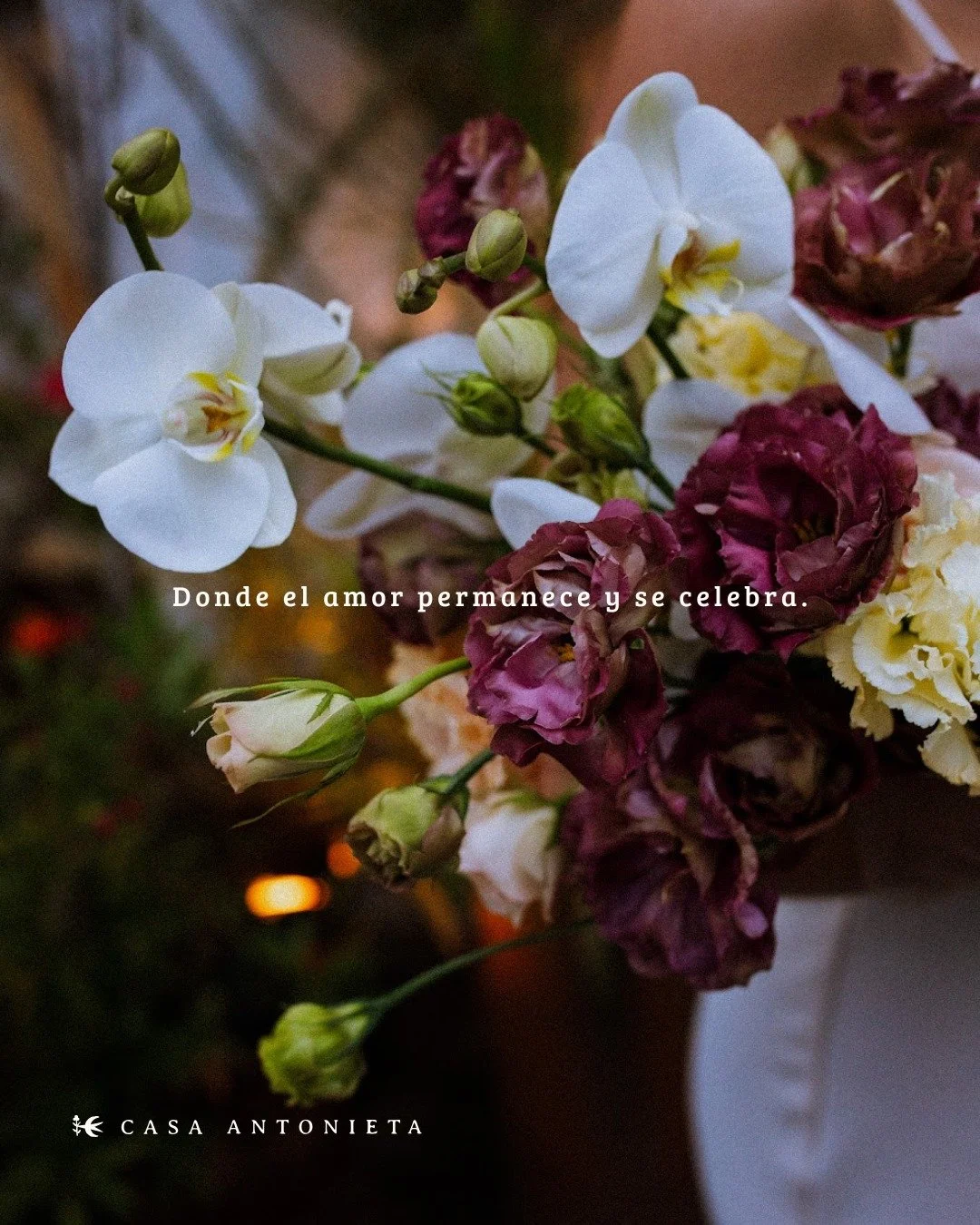 Un lugar para decir s&iacute;. 💍
Casa Antonieta enmarca encuentros delicados, llenos de luz y significado.
.
.
A place to say yes. 💍
At Casa Antonieta, light moves slowly through the space, and each moment is held with intention and quiet meaning.