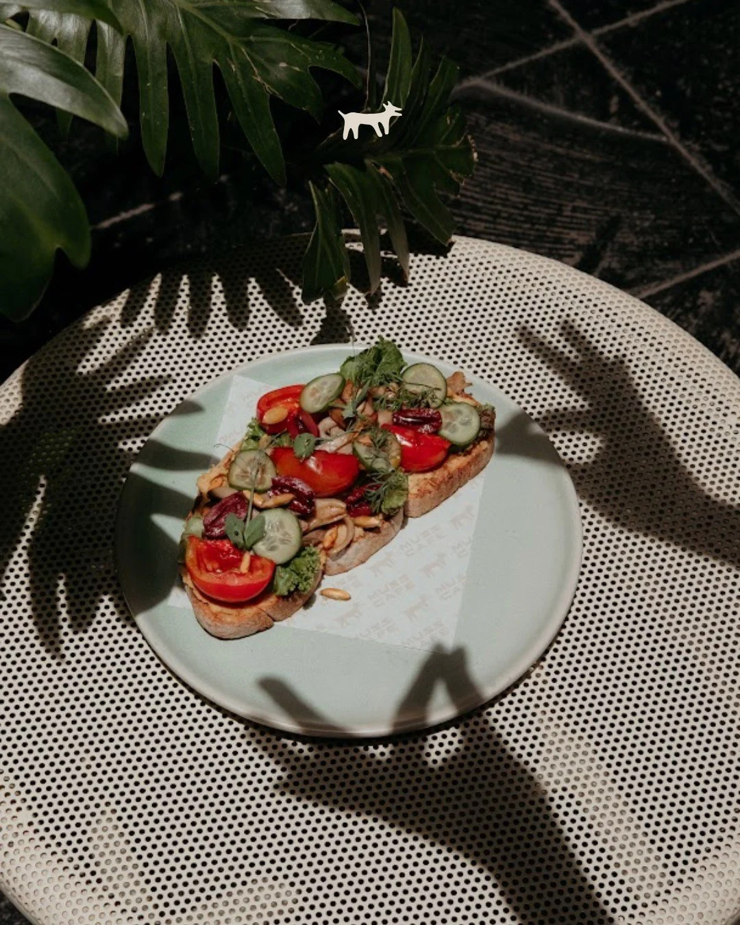 Para media ma&ntilde;ana