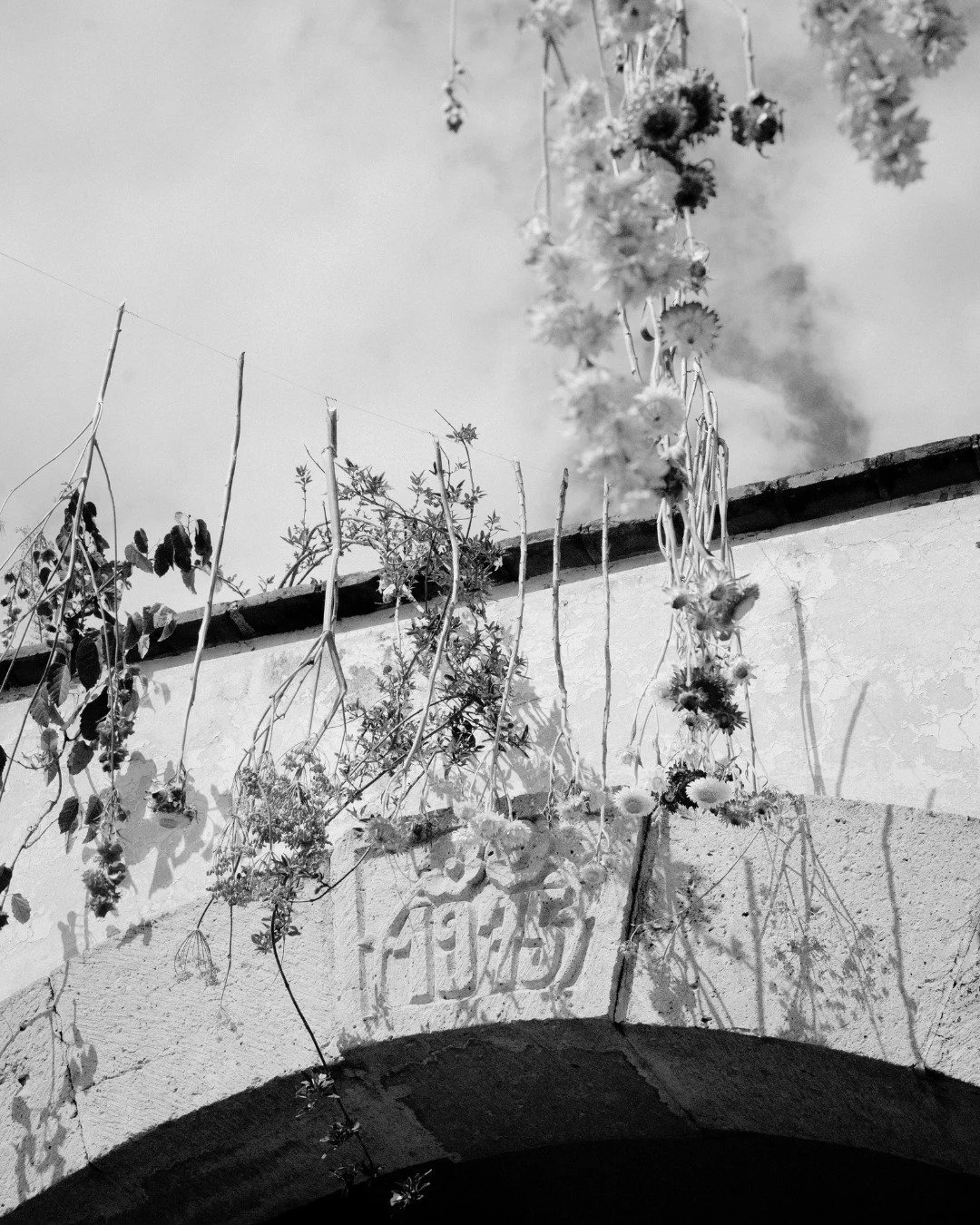 La terraza es un lugar m&aacute;gico y el amor se celebra en planes que se vuelven inolvidables.