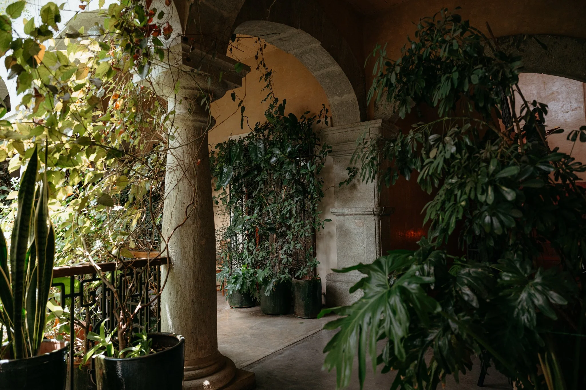 AMÁ  MUSS  OAX  070_(2048).JPG