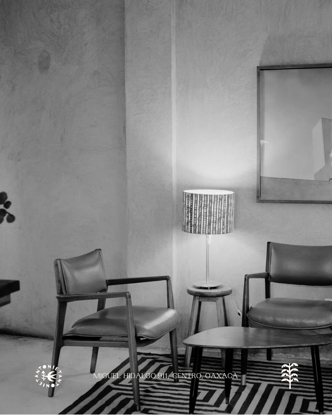 Entre luz suave y conversaciones largas.