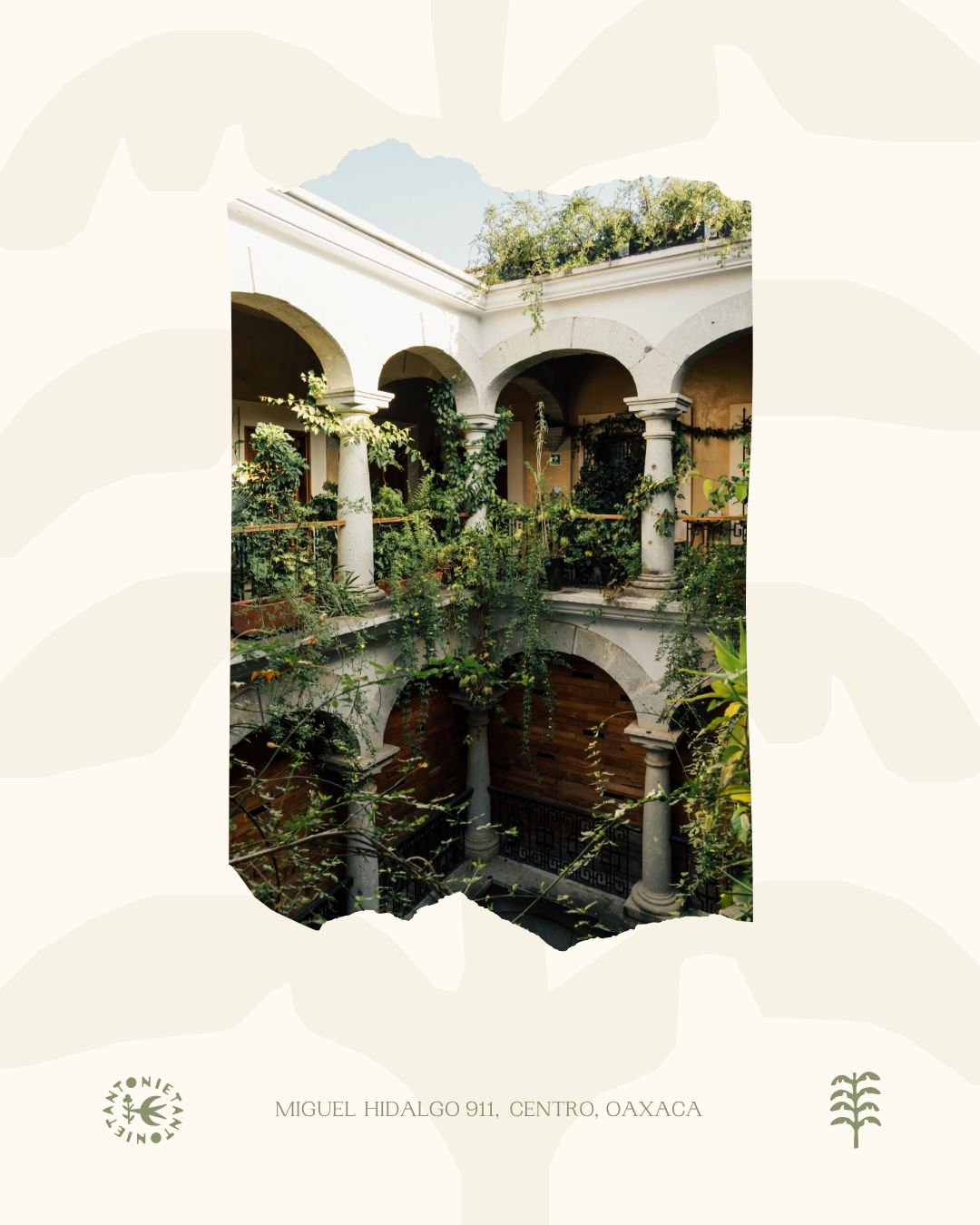 Verde, calma y un espacio para quedarte 🌿