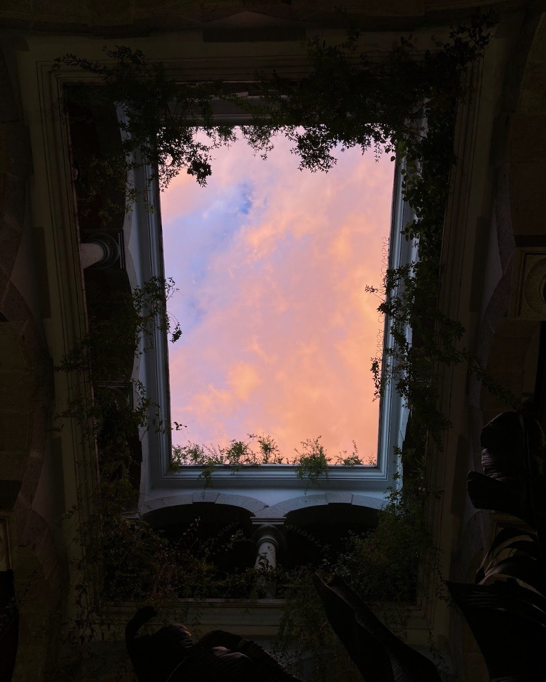 En MUSS a veces, la mejor compa&ntilde;&iacute;a es el cielo pint&aacute;ndose de atardecer ✨🌅