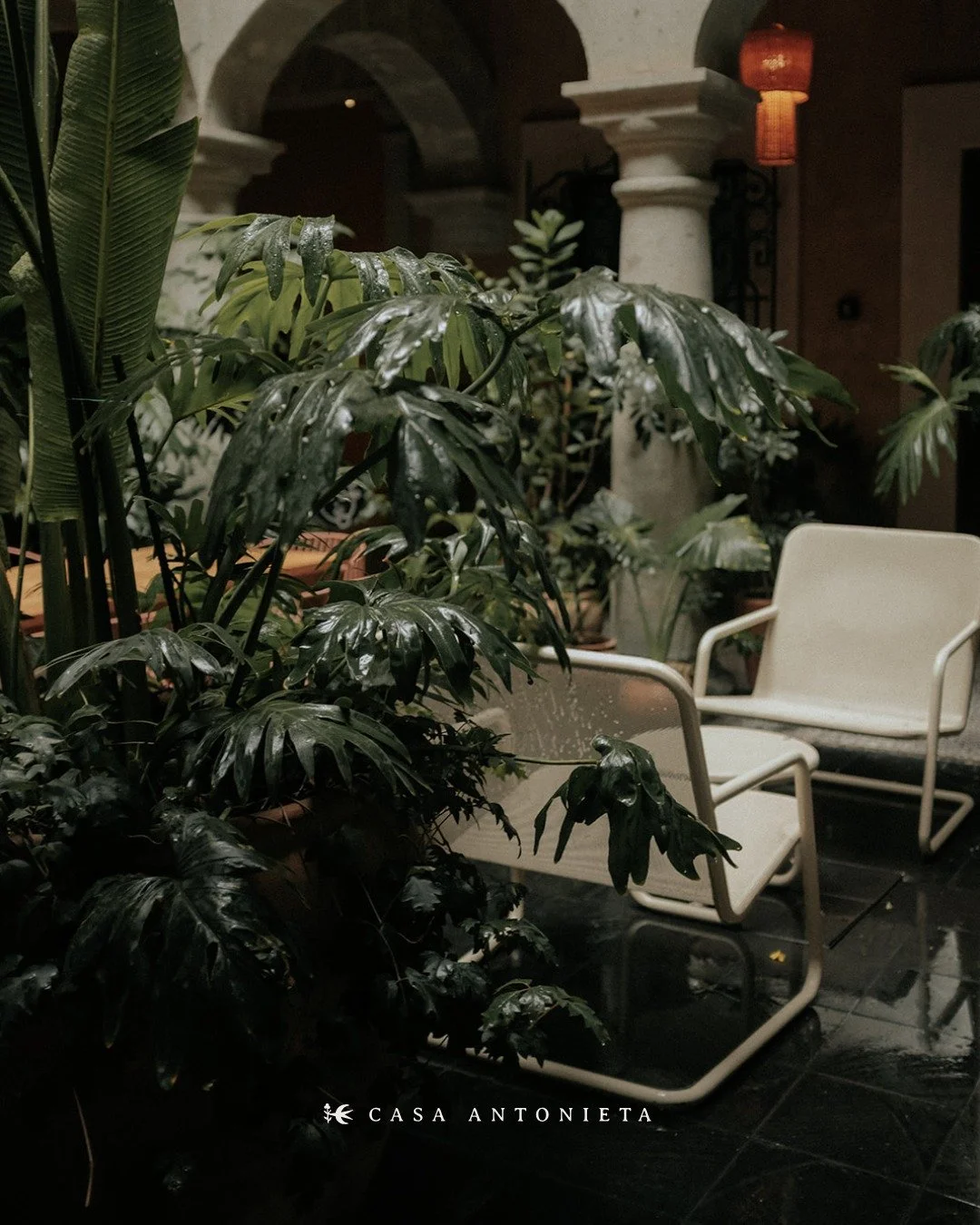 Rincones de casa, esencia de MUSS ✨

📸 : @alecas_______