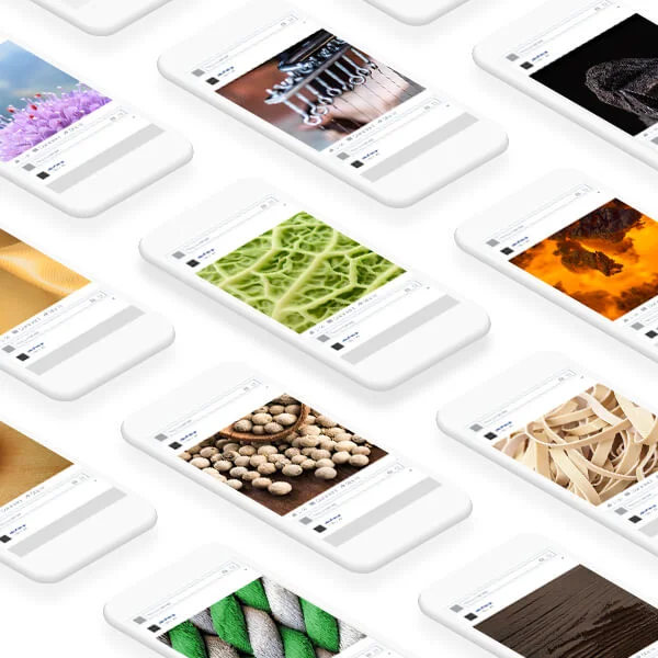 Waadtländer AOP-IGP Produkte