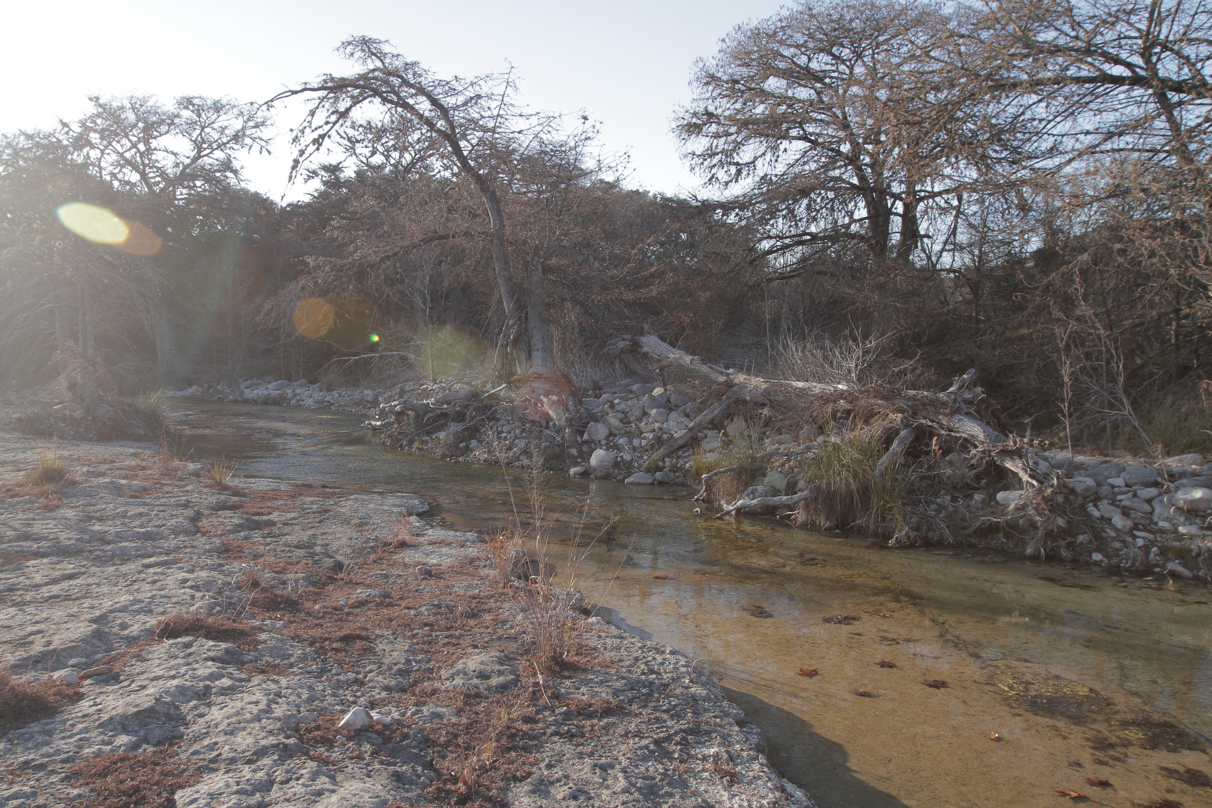 Orange Blossom Real Estate