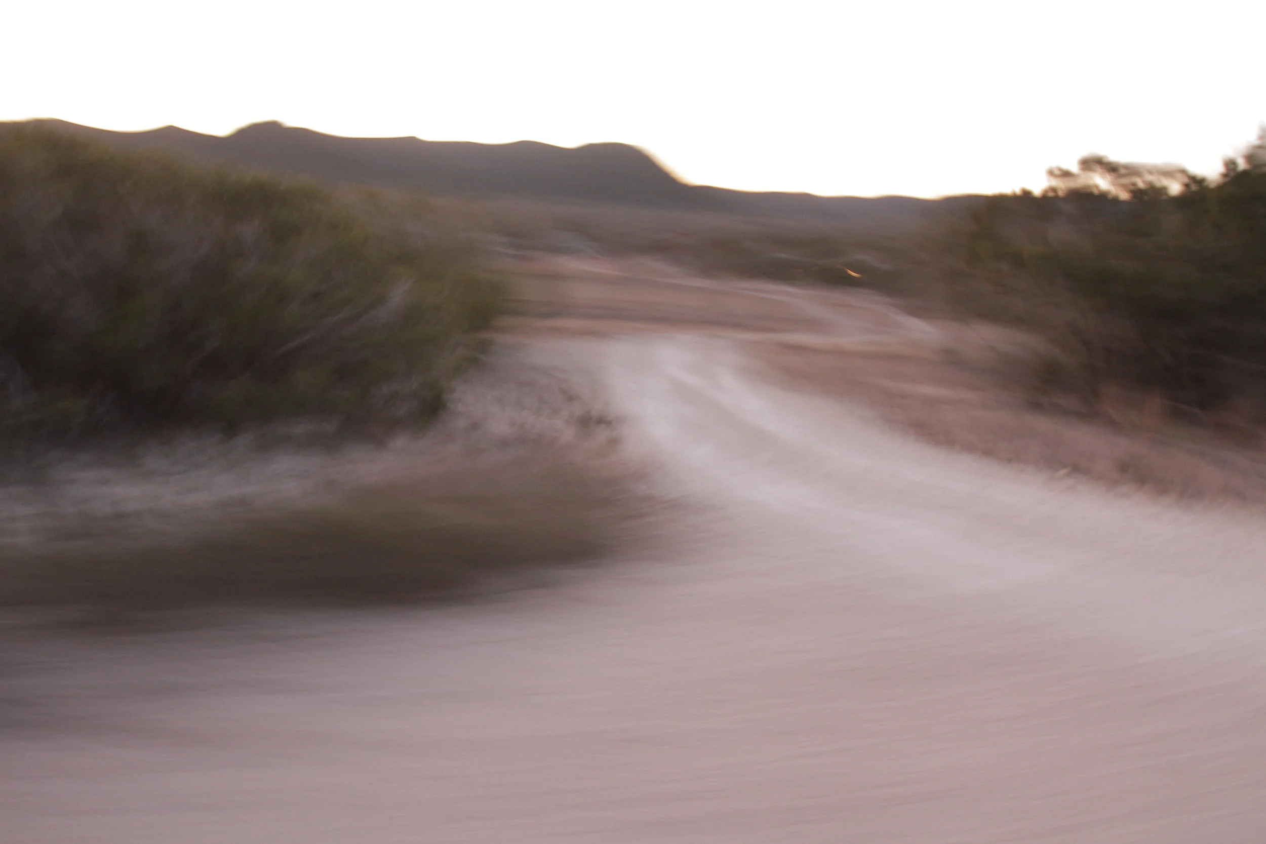 Orange Blossom Real Estate