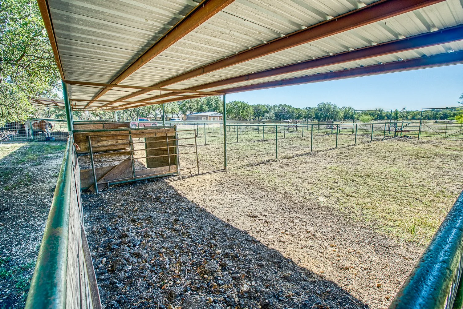 Orange Blossom Real Estate