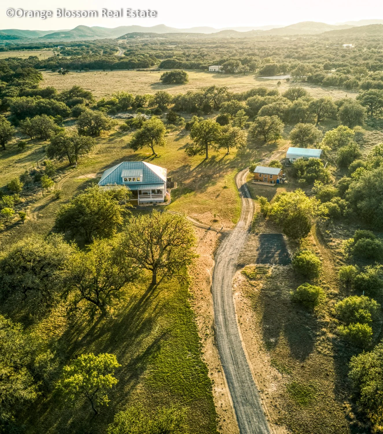 Orange Blossom Real Estate