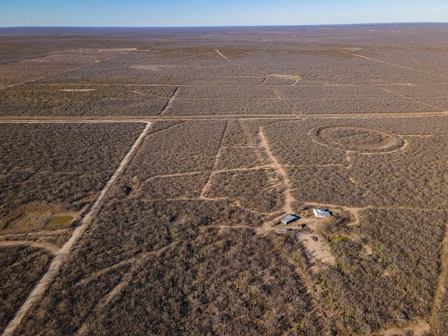 Orange Blossom Real Estate