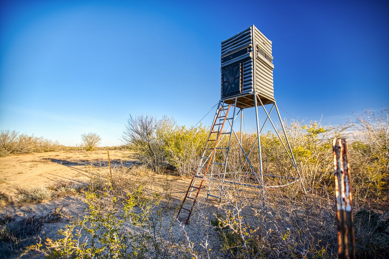 Orange Blossom Real Estate