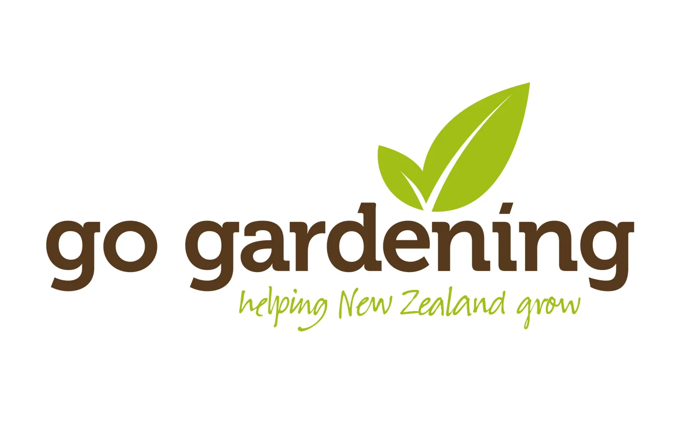 Logo Brand Identity Graphic Design