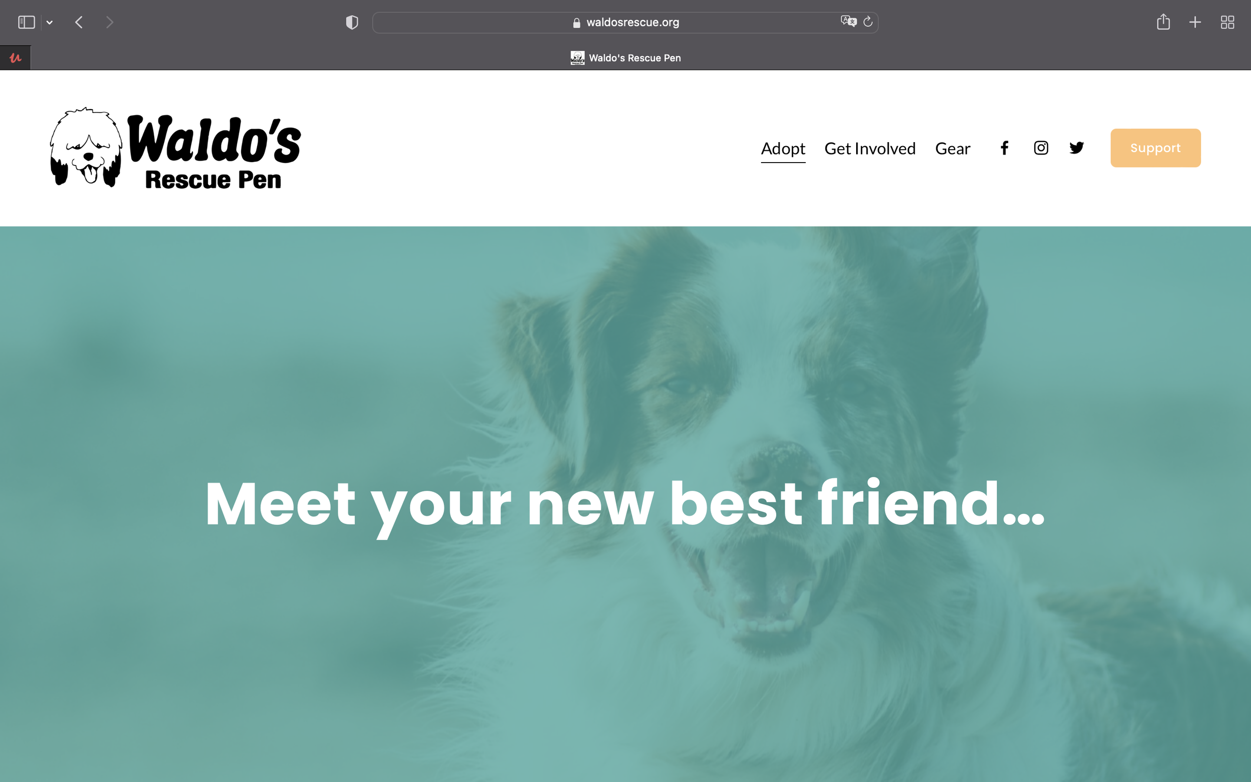 Screen Shot 2022-05-01 at 4.35.55 PM.png