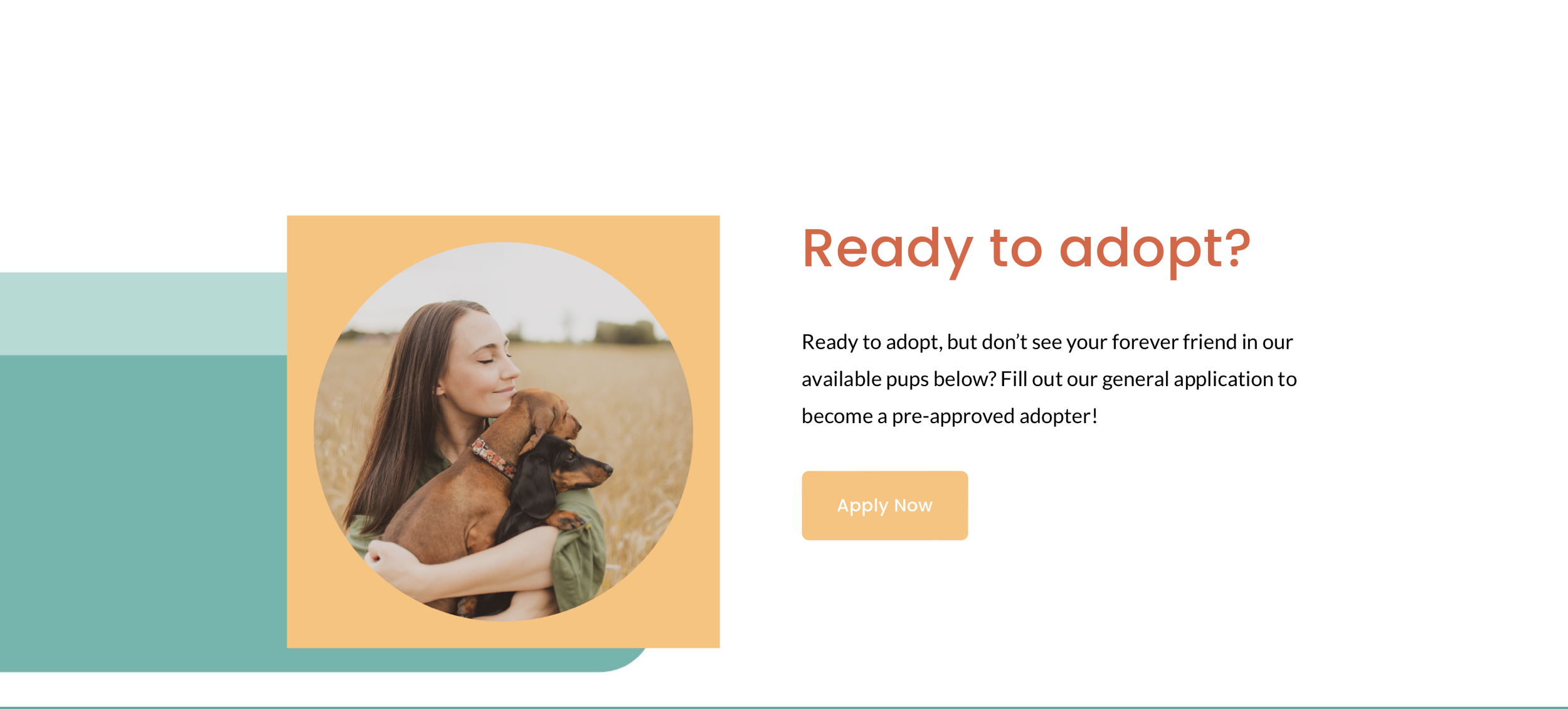 Screen Shot 2022-05-01 at 4.36.22 PM.png