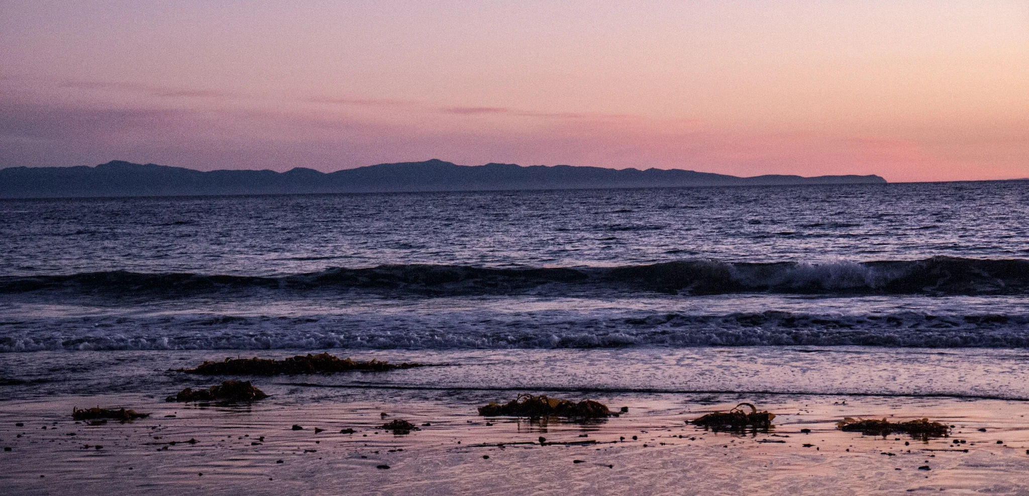 pink beach.jpeg