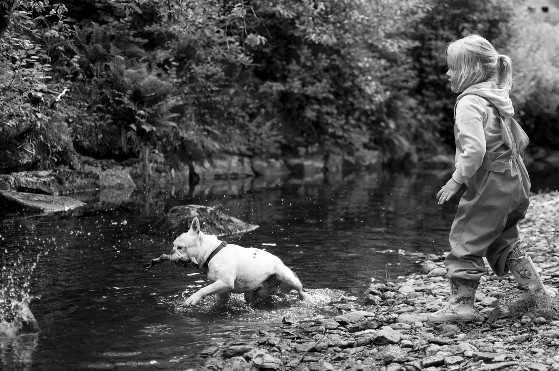 2018-08-05 12.11.24 red bw.jpg