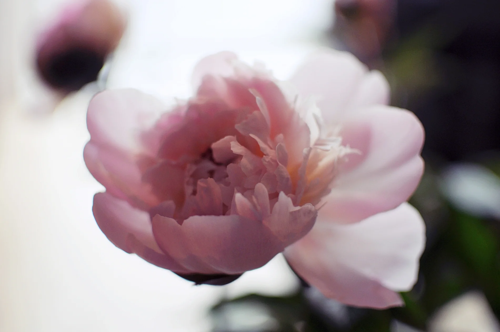 2019-05-29 08.41.56 red.jpg