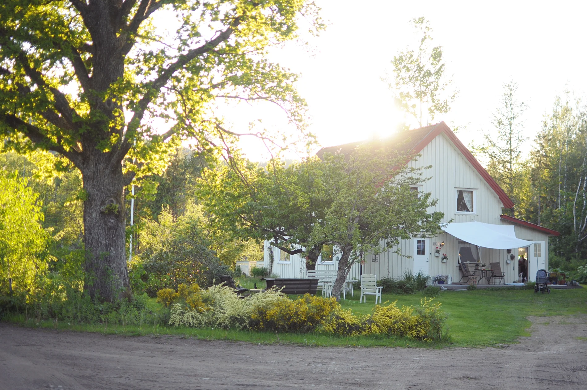 2019-05-31 21.06.13 red.jpg