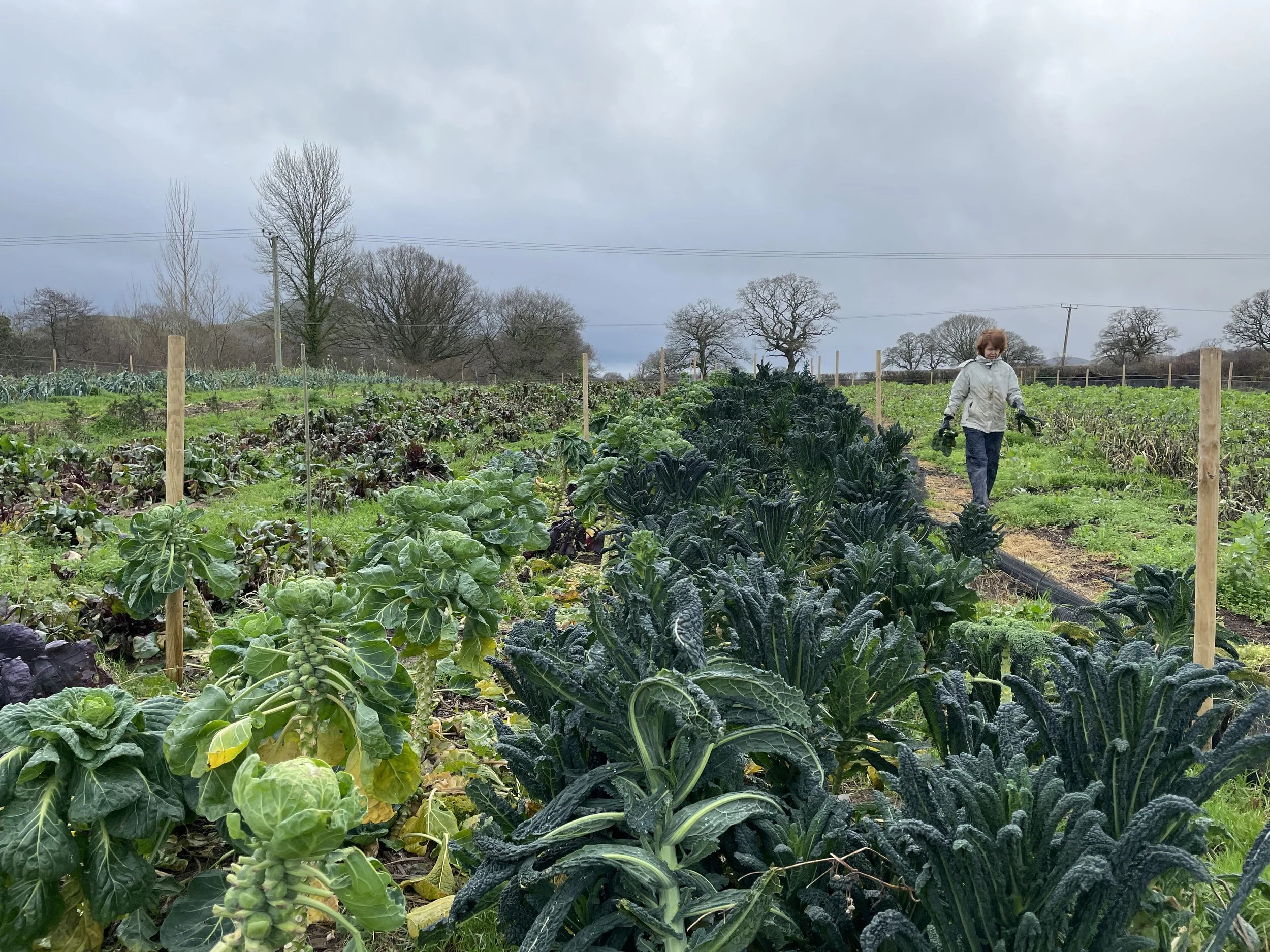 Navigating Winter as a Hyper-Seasonal, Pay-As-You-Can Restaurant