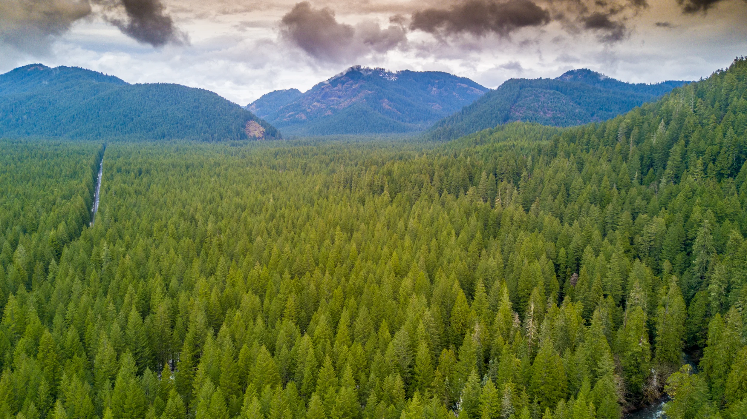 DJI_0202-HDR-1.JPG