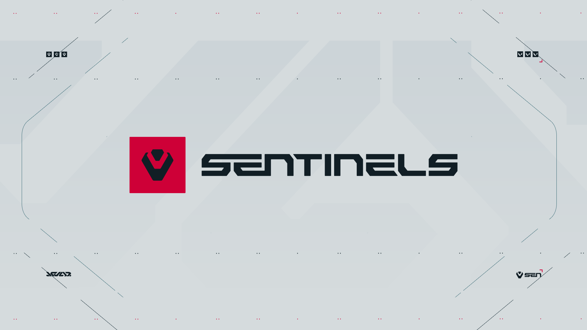 North American esports organization Sentinels formally launch equity fundraise with Capital Market company StartEngine with over a hundred potential investors expressing interest pre-launch