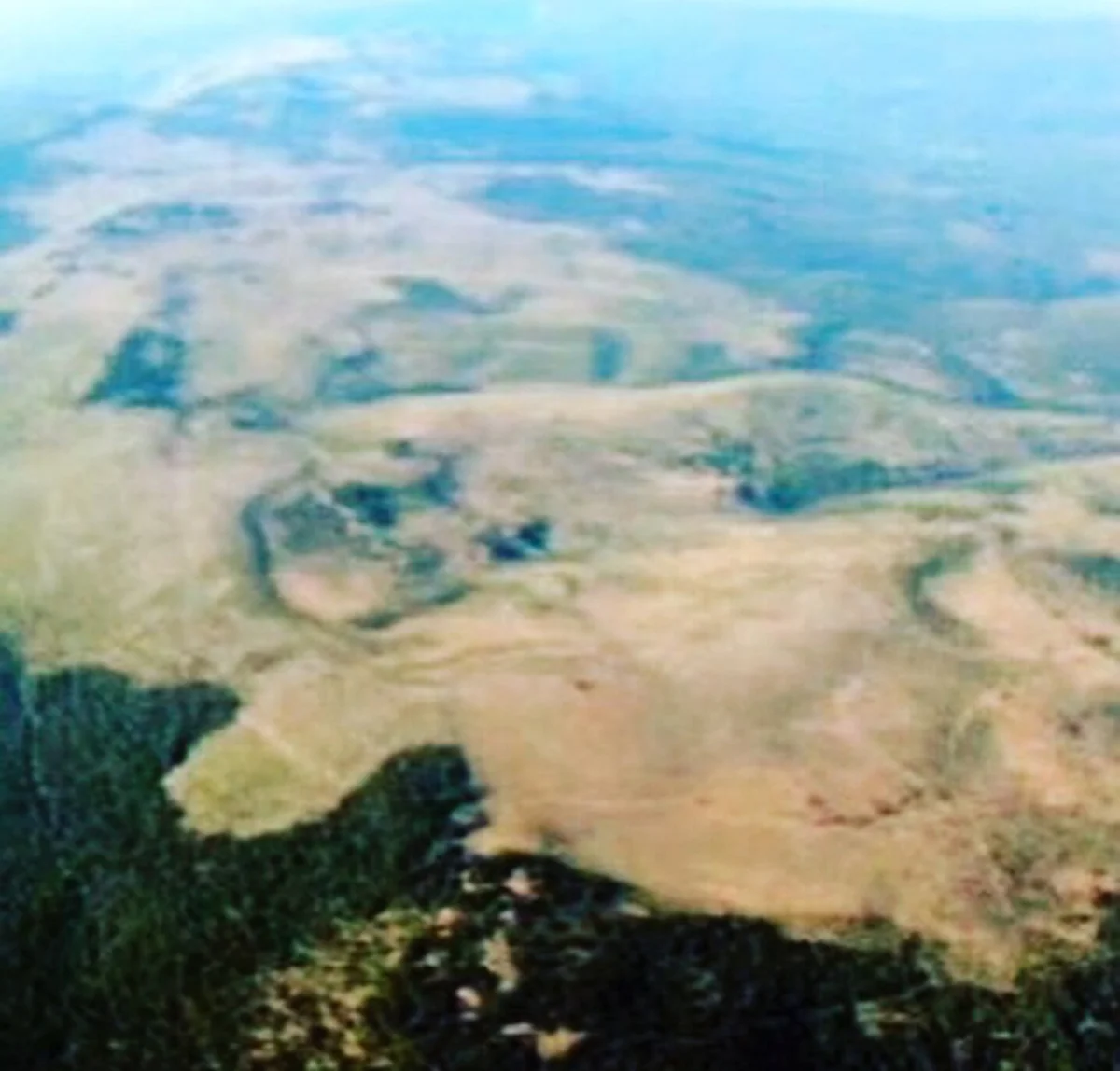aerial.jpeg