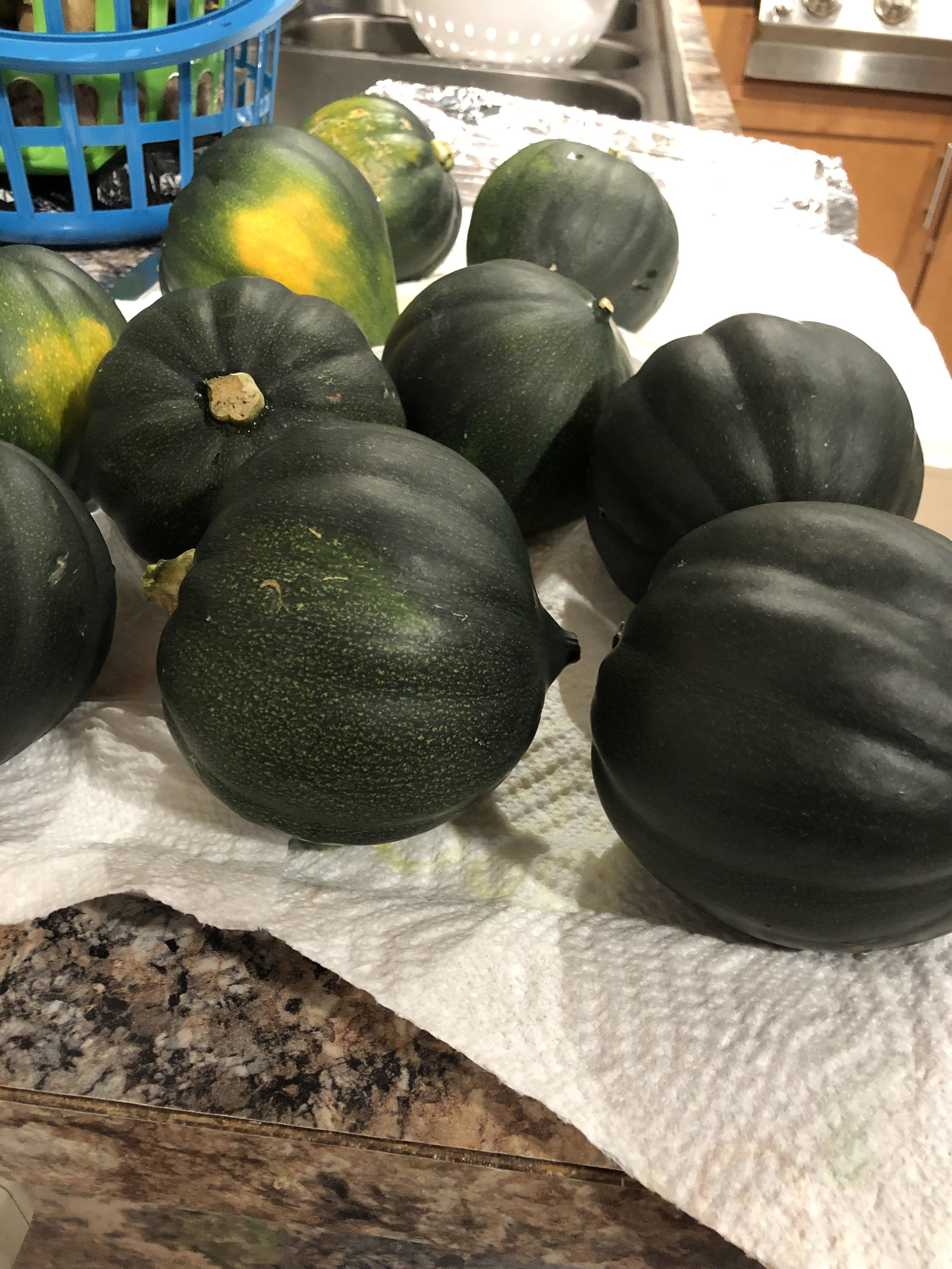 acornsquash.jpg