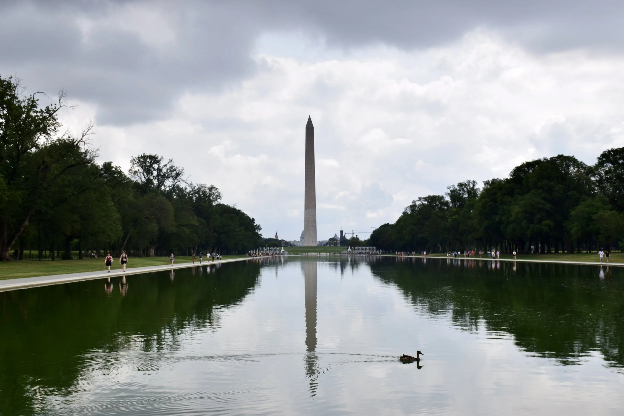 Food Insecurity in DC
