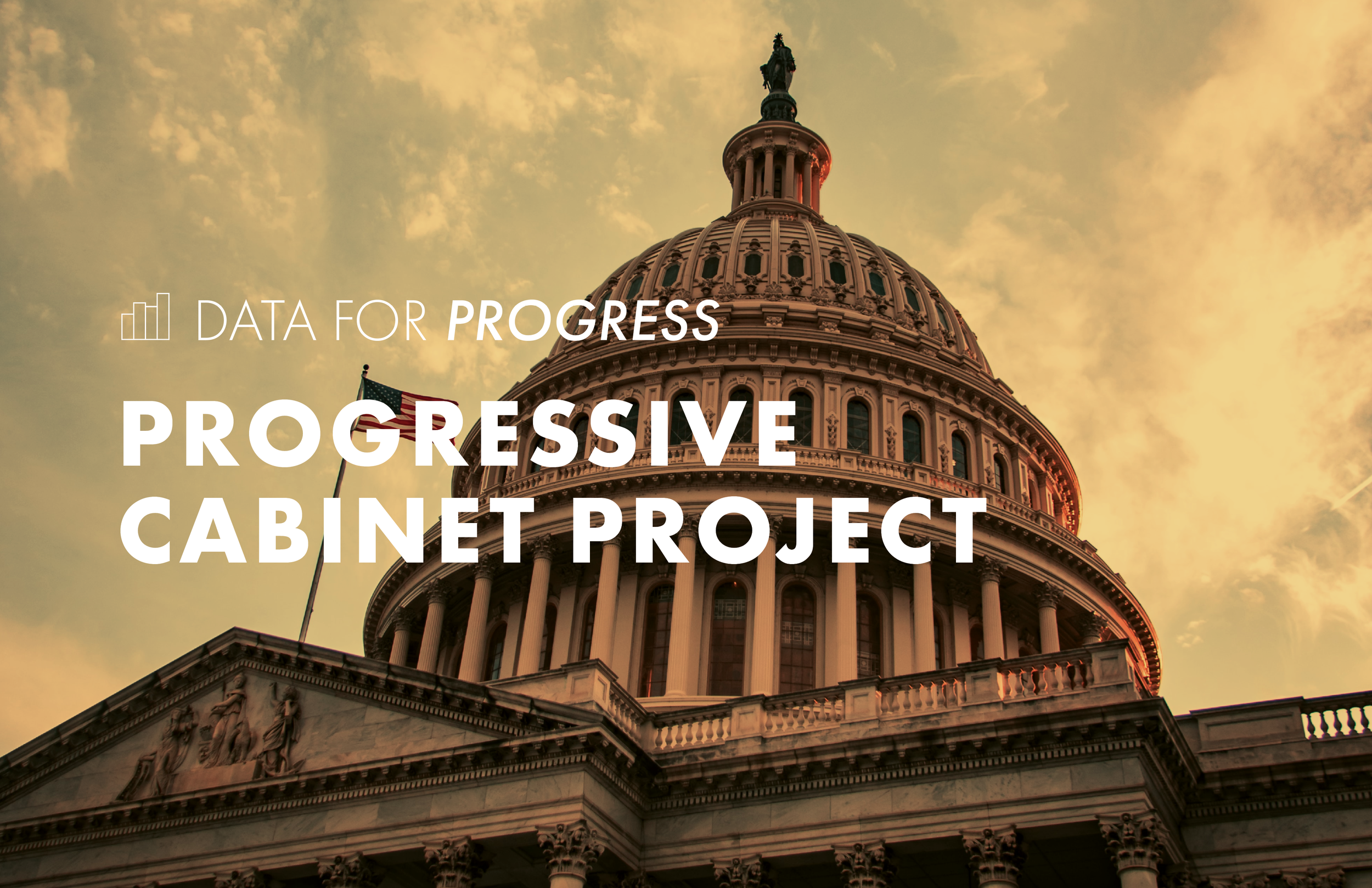 Progressive Cabinet Project 