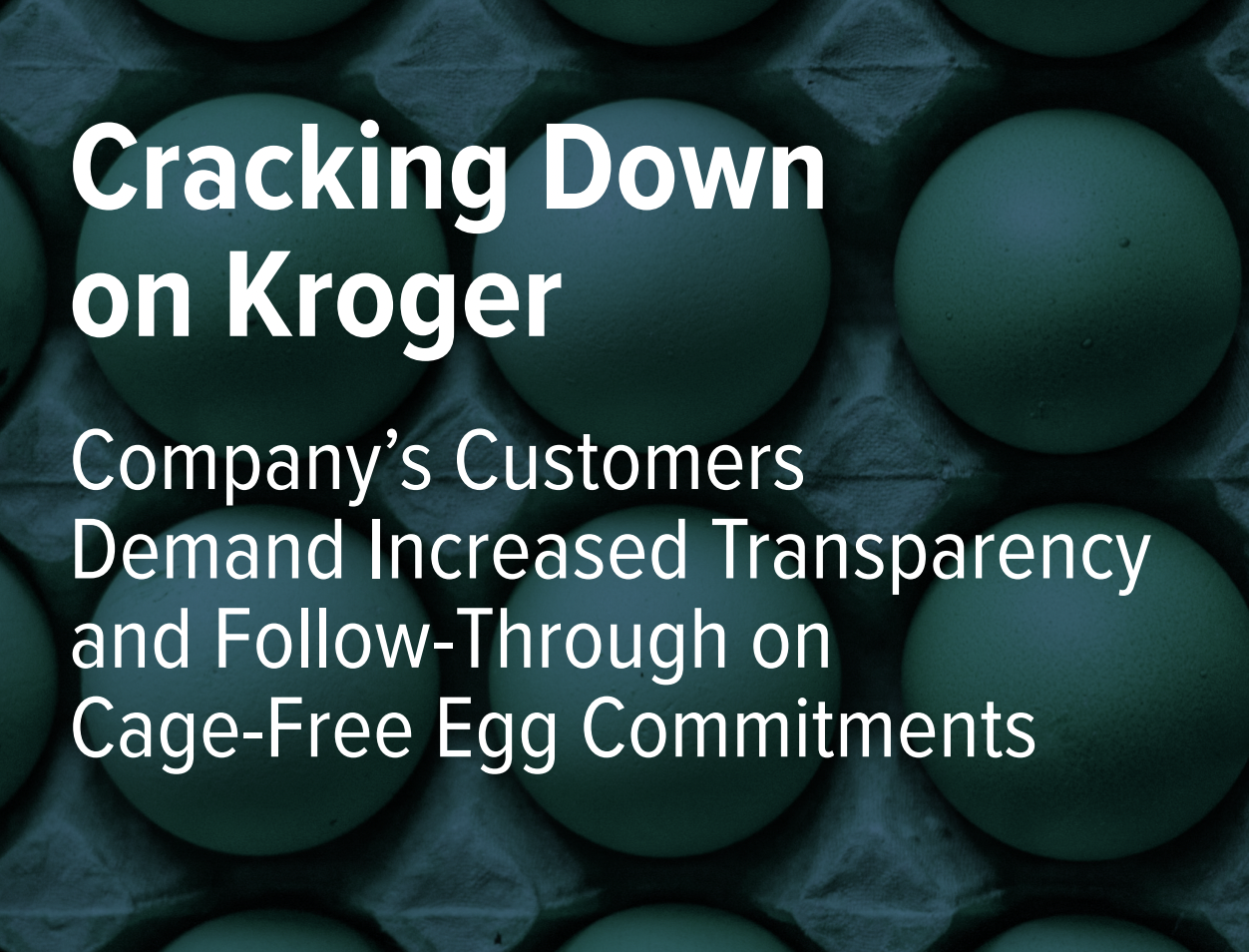 Cracking Down on Kroger: Company’s Customers Demand Increased Transparency and Follow-Through on Cage-Free Egg Commitments