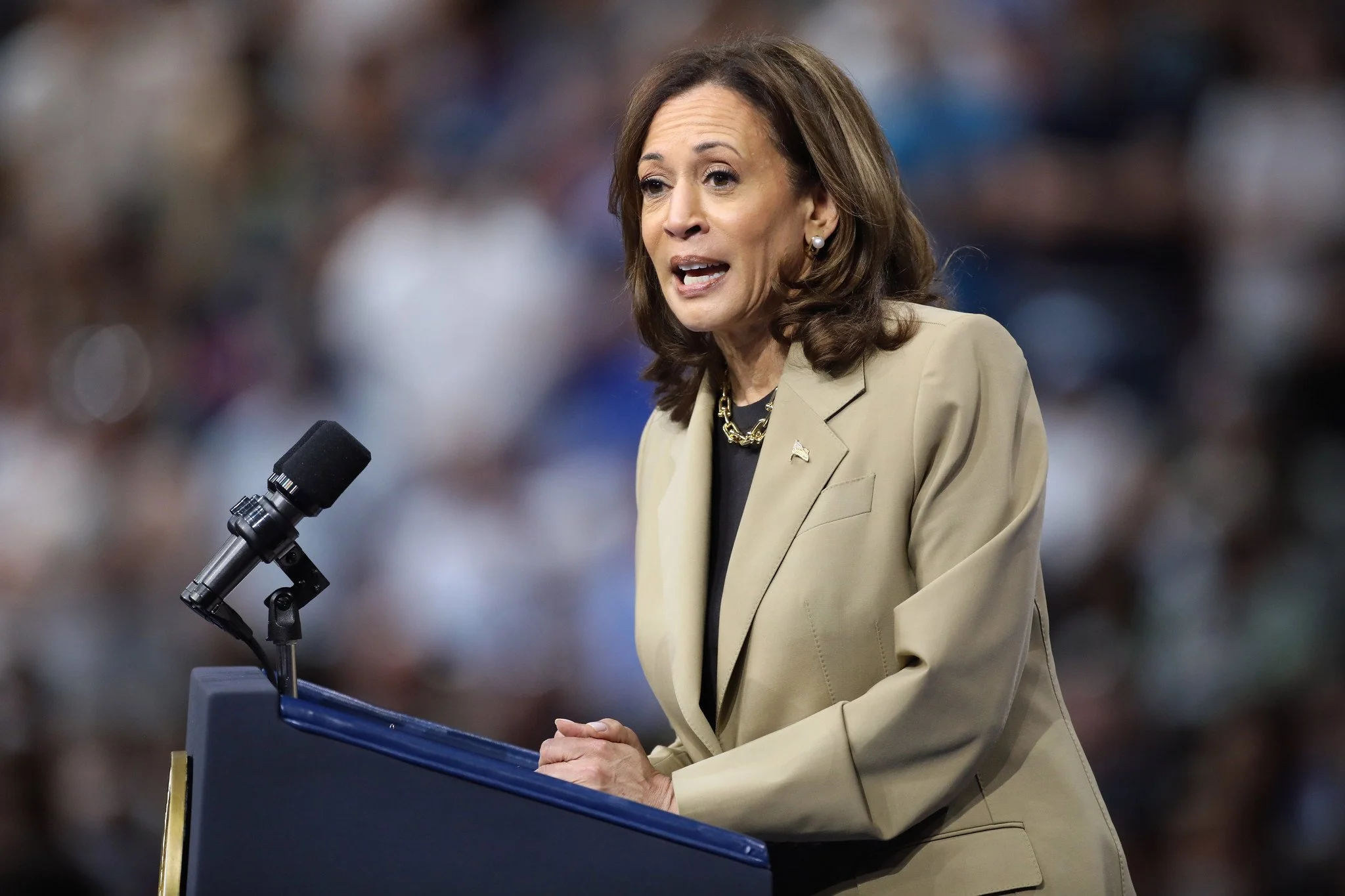 Kamala Harris Is Right to Focus on Price Gouging
