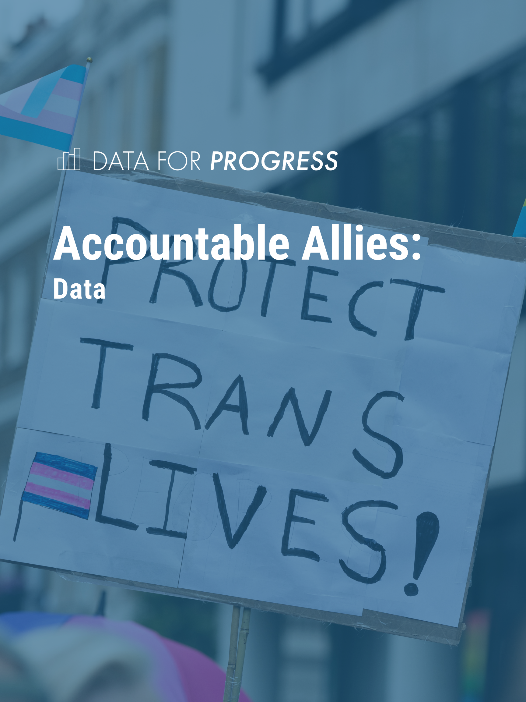 Trans Accountability Project Accountable Allies: DFP's Pride Corporate Accountability Project