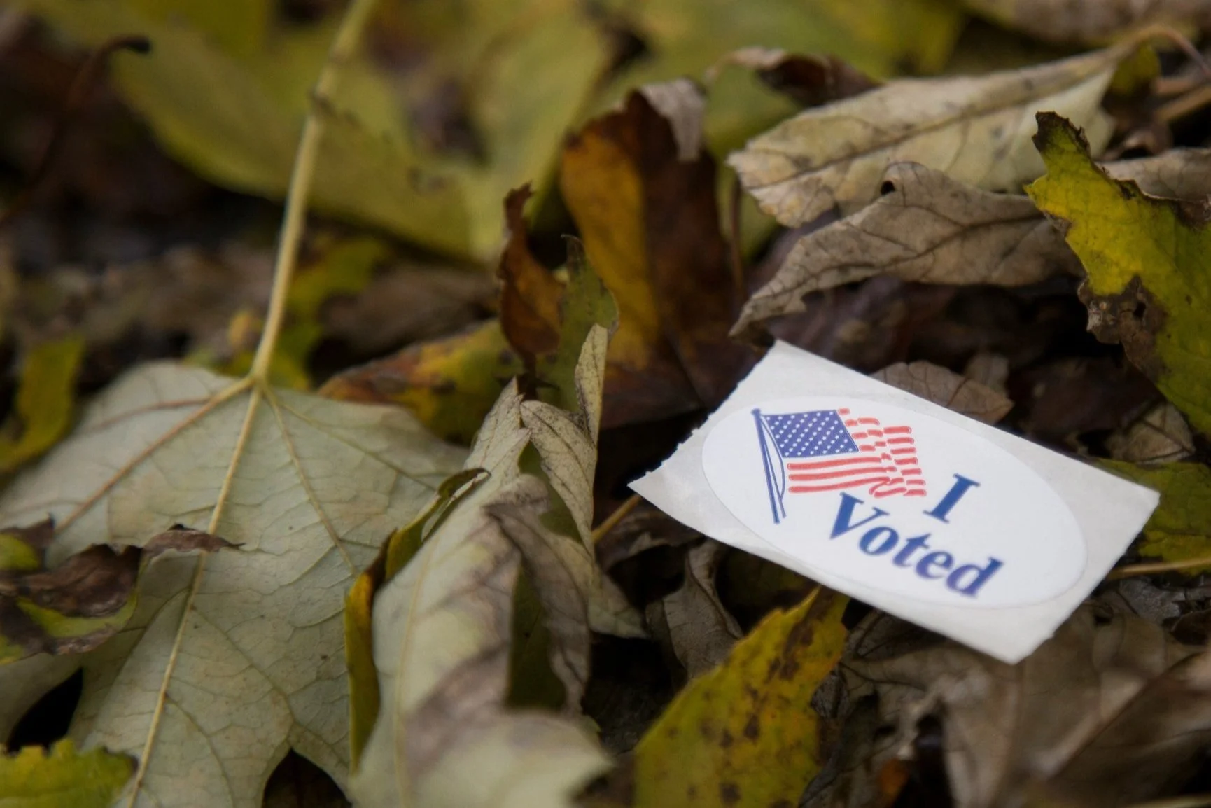 2024 Post-Election Report