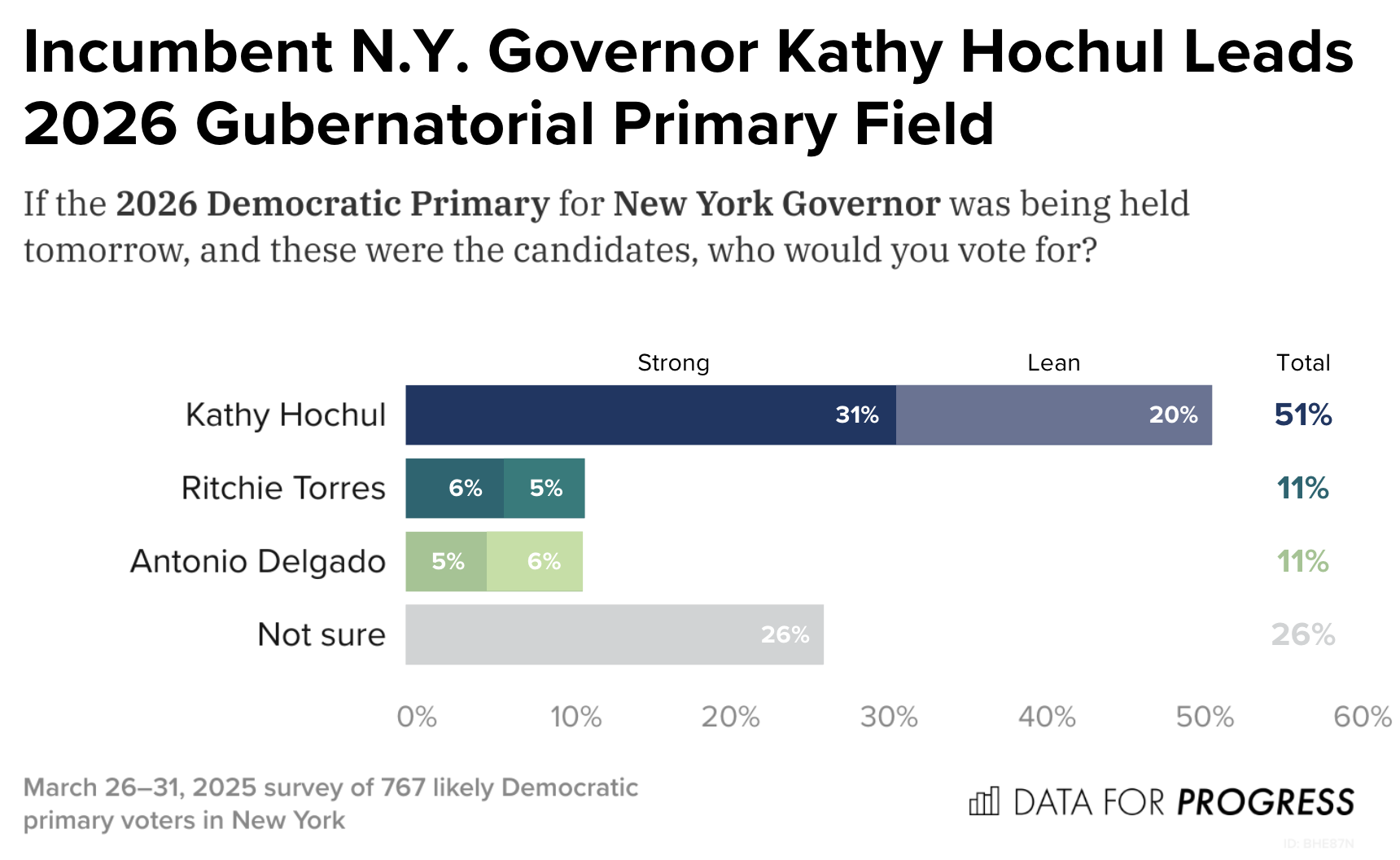 Incumbent Hochul Has Large Lead in 2026 New York Gubernatorial Race