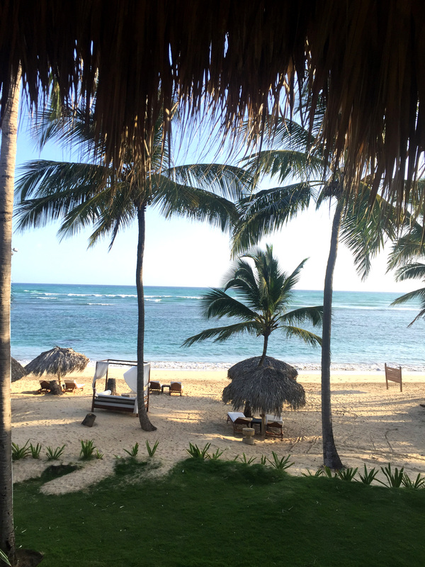 punta cana beach palm trees