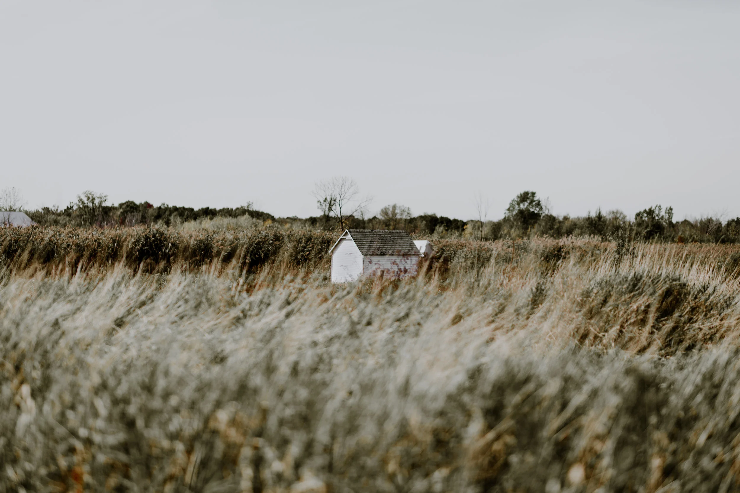 photos_mariphotographe2018_FAMILLY(1sur1)-24.jpg
