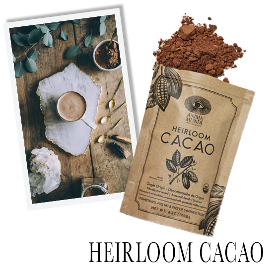 store_cacao.png