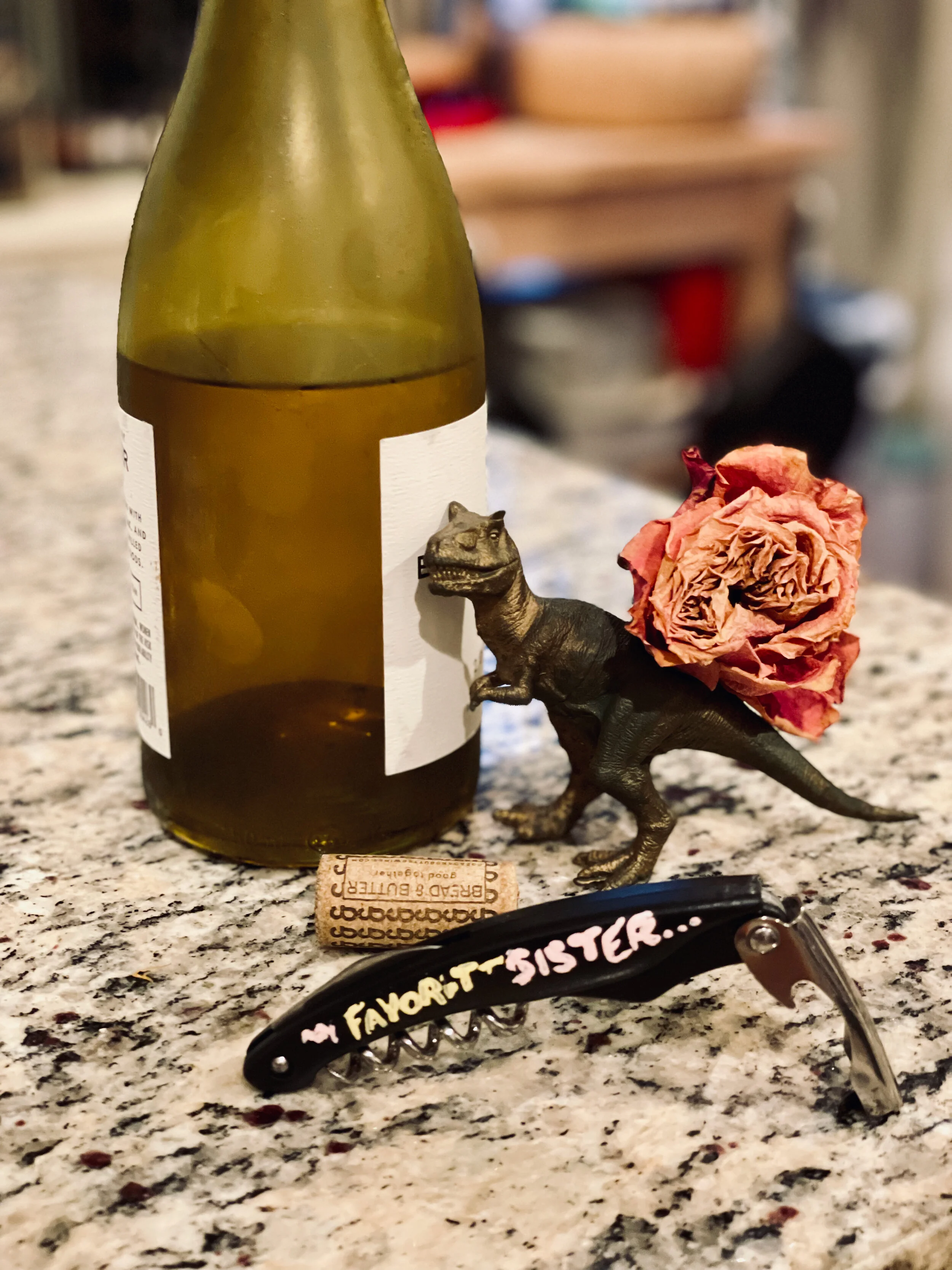 trash bag brie, heartsickness, &amp; my big sister 