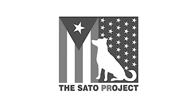 theSATOproject.jpg