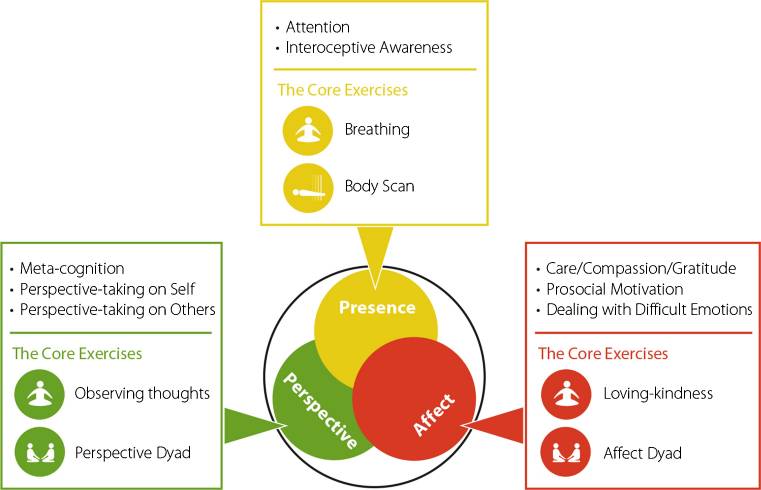 Differential Effects of Attention-, Compassion-, and Socio-Cognitively Based Mental Practices on Self-Reports of Mindfulness and Compassion Lea K. Hildebrandt, Cade McCall, and Tania Singer